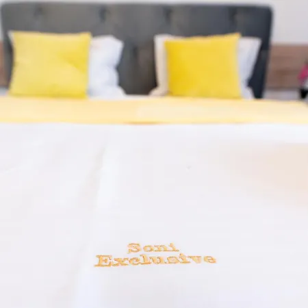 Soni Exclusive 458 Plaza With Private Parking & Self Check-in 公寓